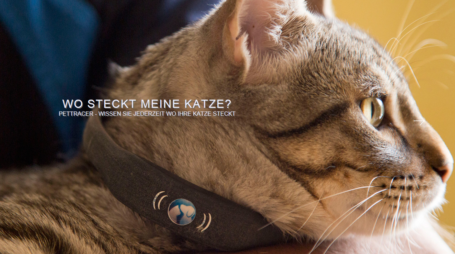 Katzenhalsband mit integriertem GPS